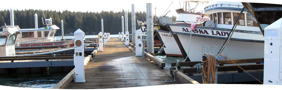 Accmar's metered pedestals in Port Lions, Alaska